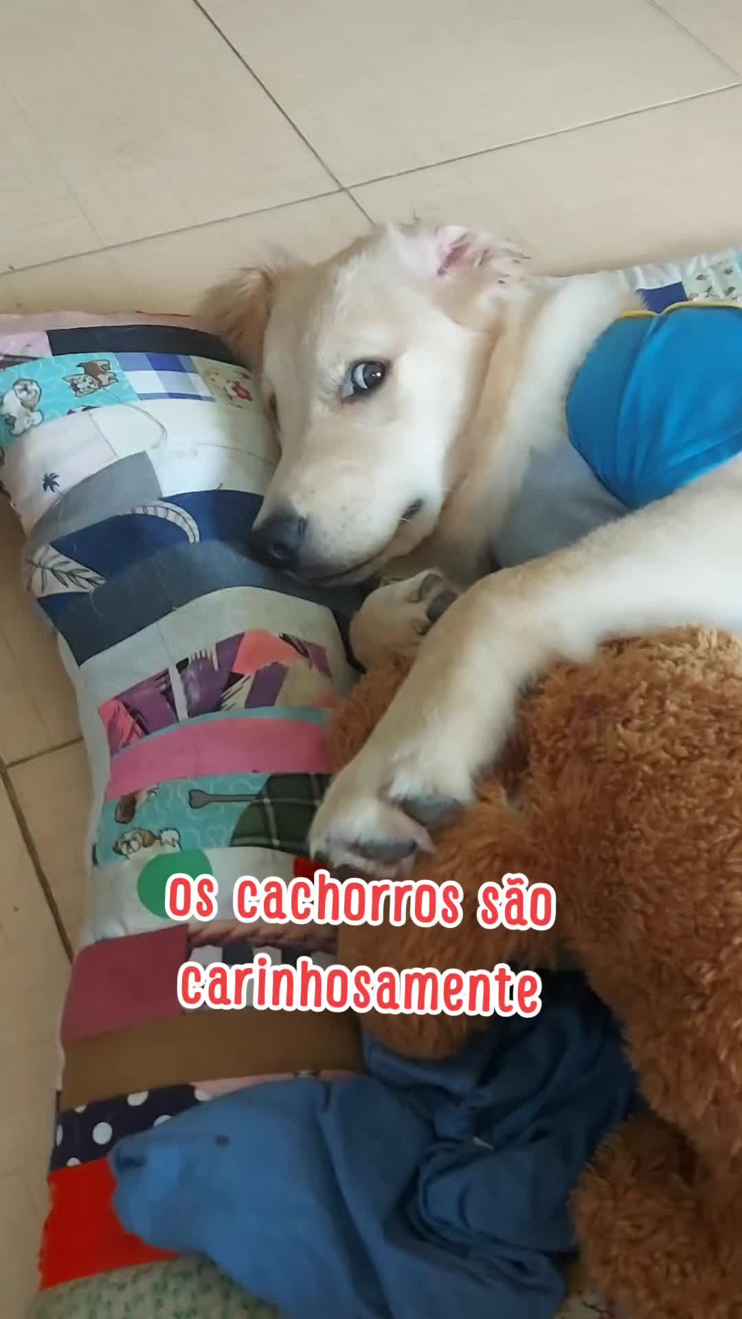 @Tropa da Fatinha🐶🐱🐎...