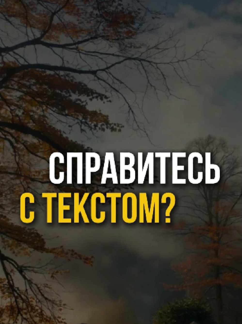 @Денис | Публичные выступления