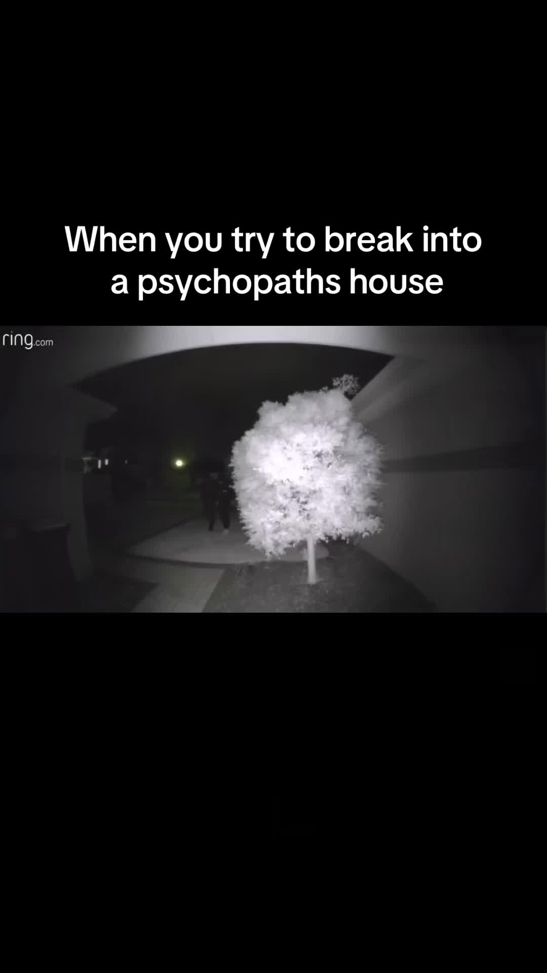 @jax.the_ripper_