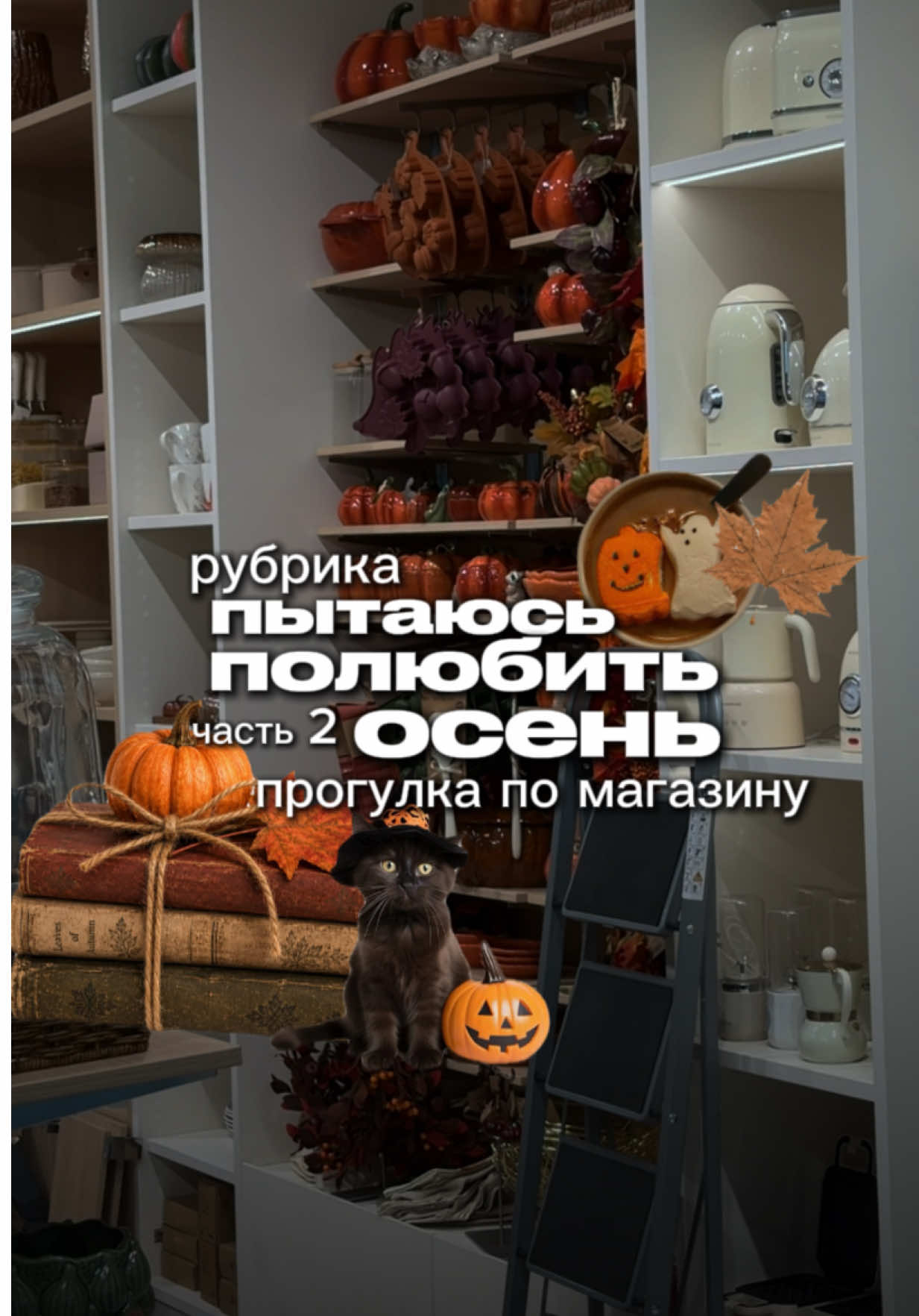 @тгк: Магоманьячка ✧₊∘