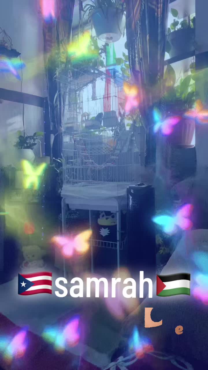 @Samrah888