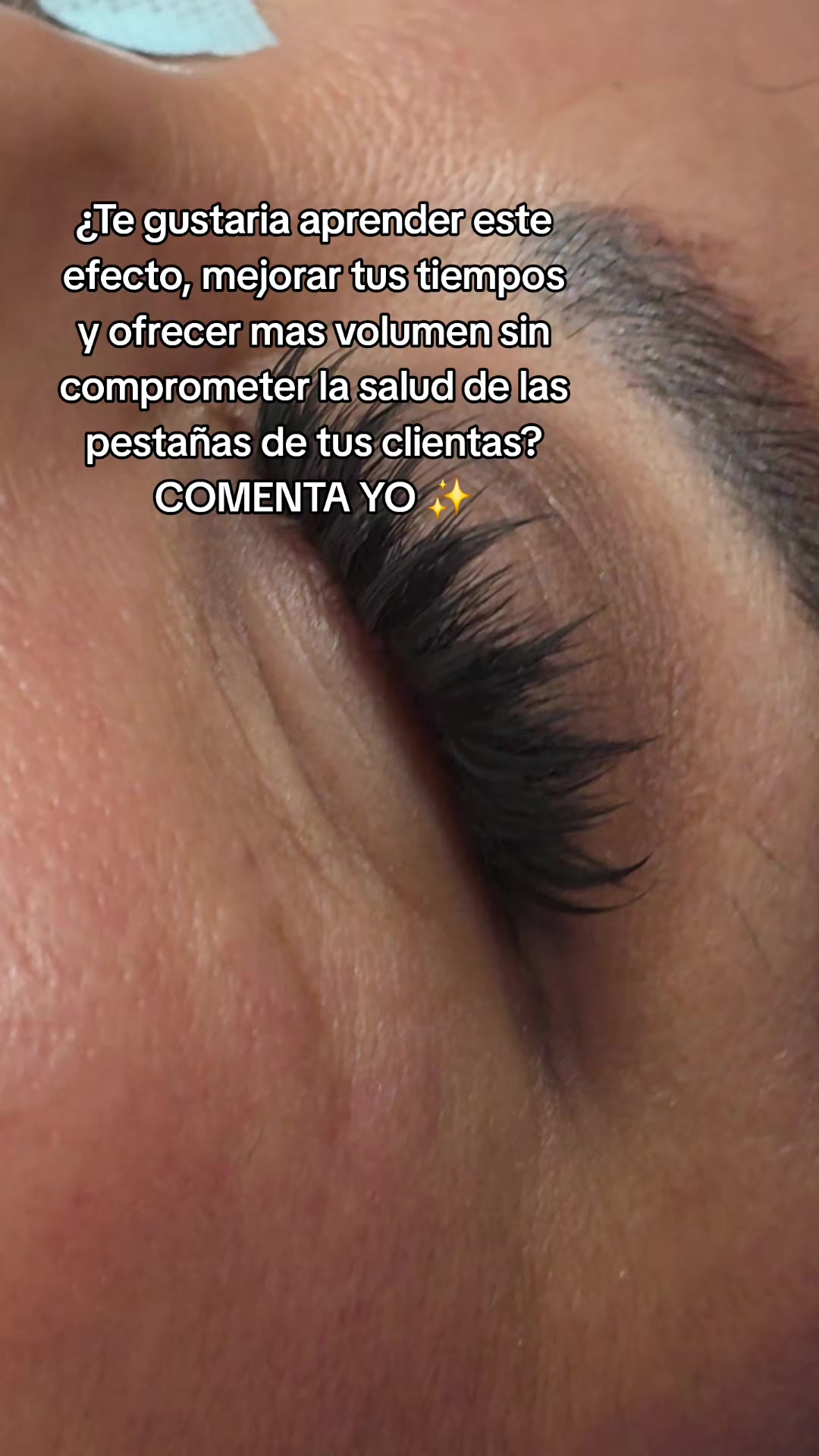 @Sally Lash