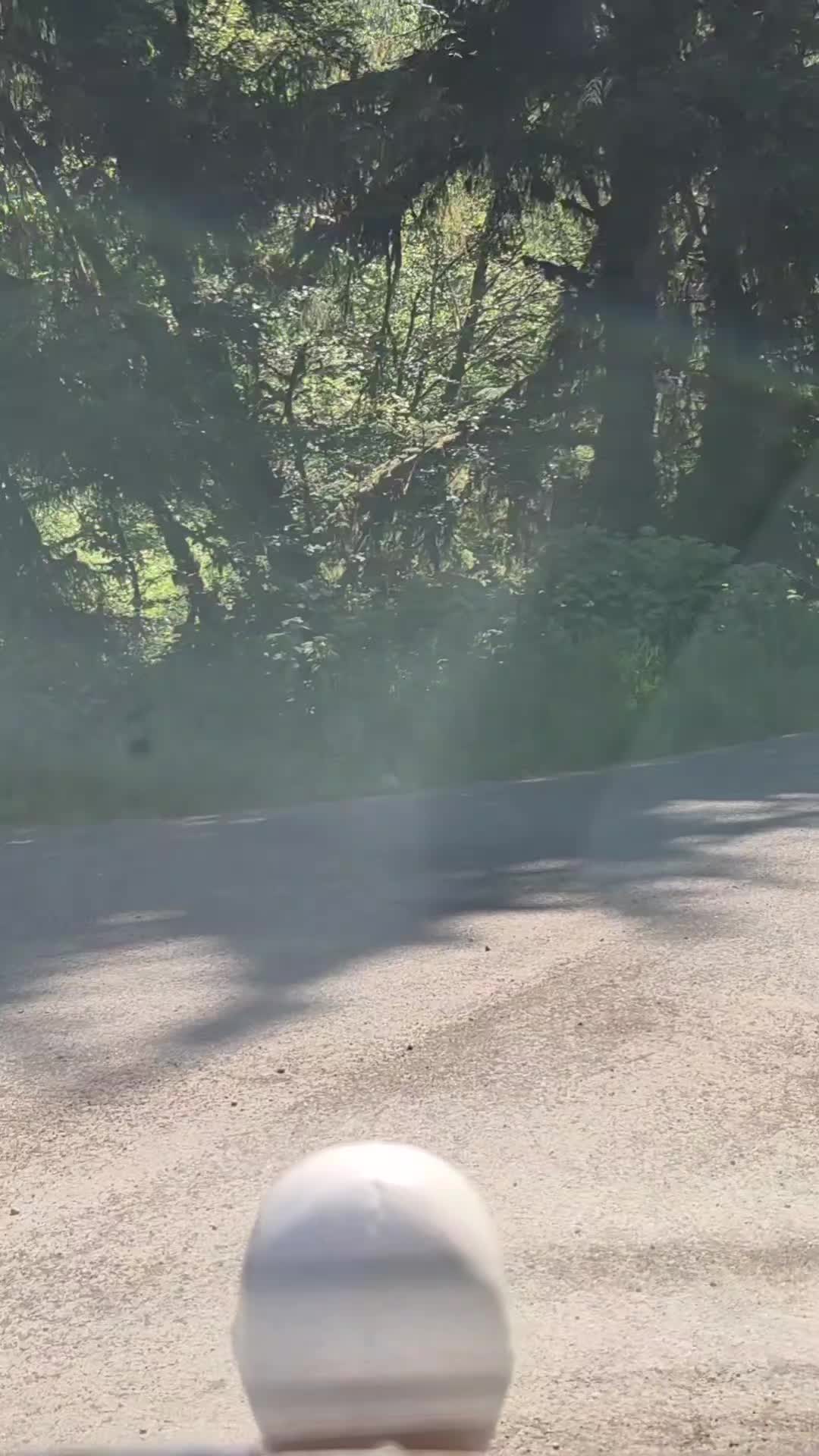 @TesticleezOfTroy