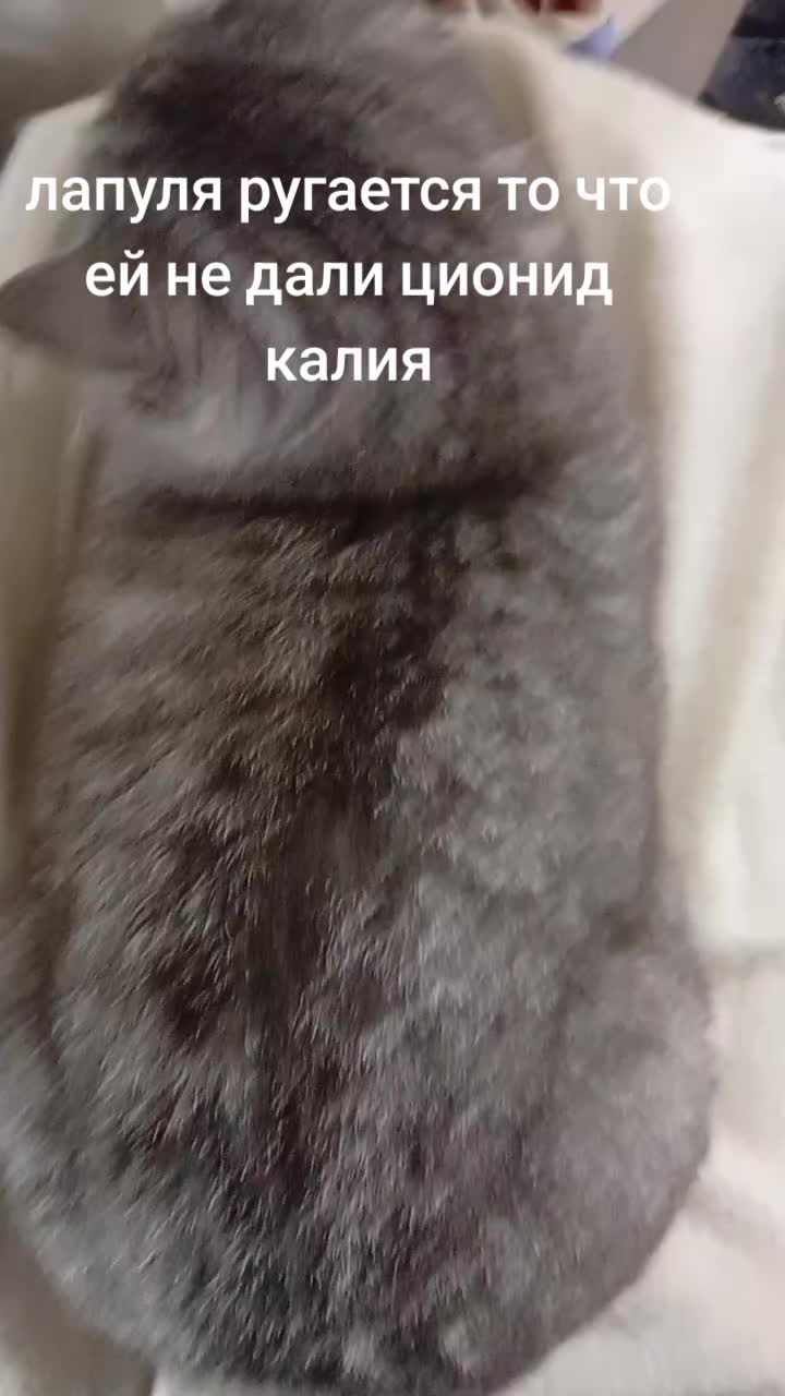 @Хонкантон