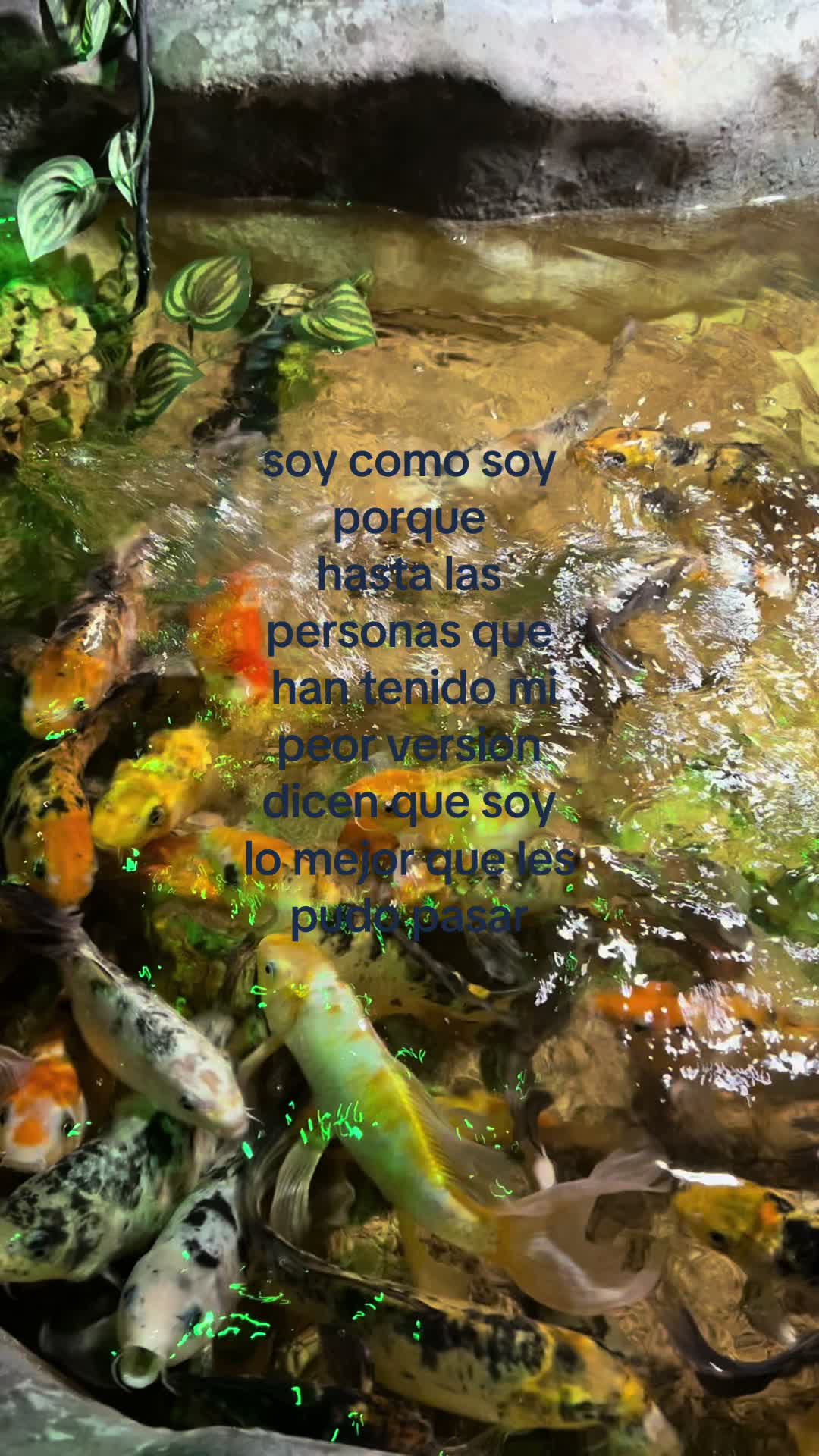 @𝑮.