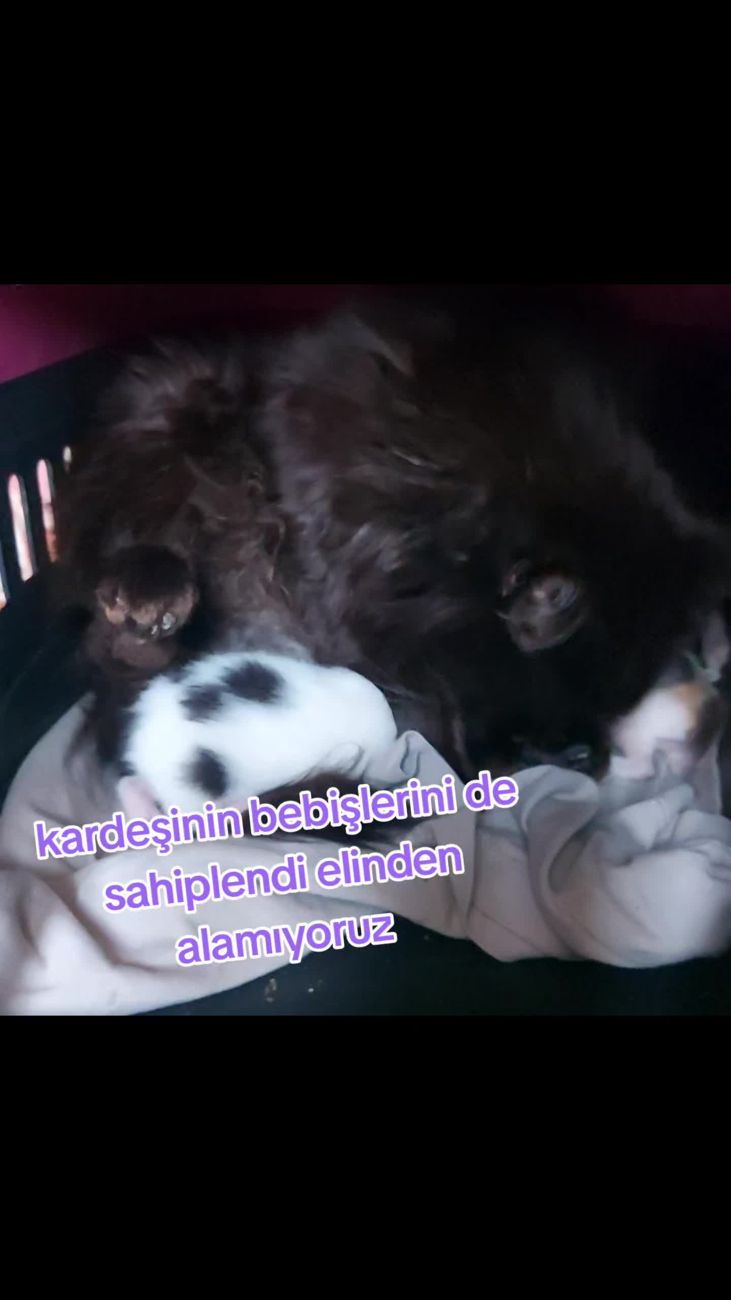 @GoncaBıçakUlaştısoy