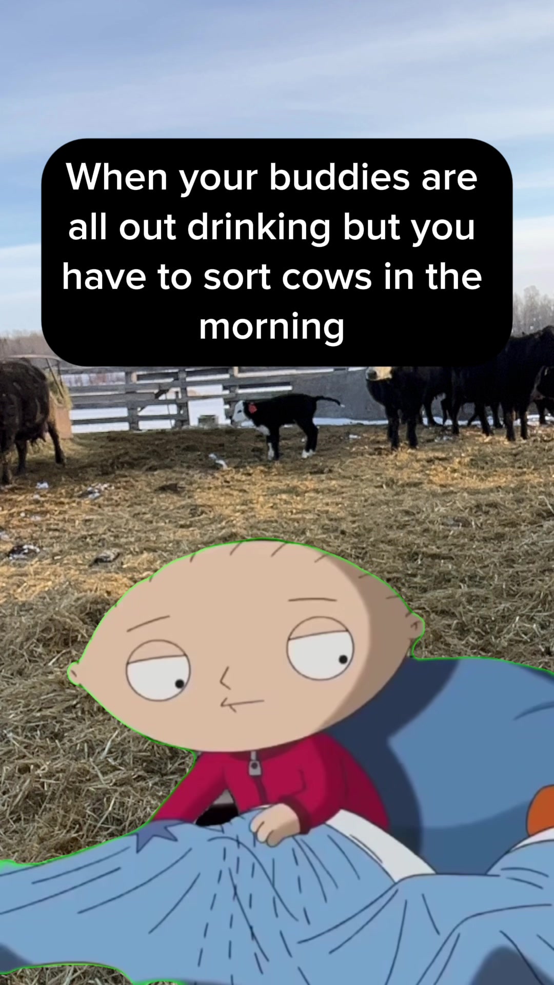 @Dusty Calhoun