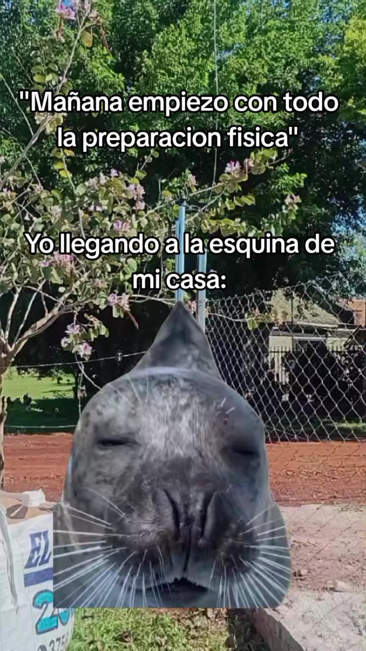 @Fer Rojas