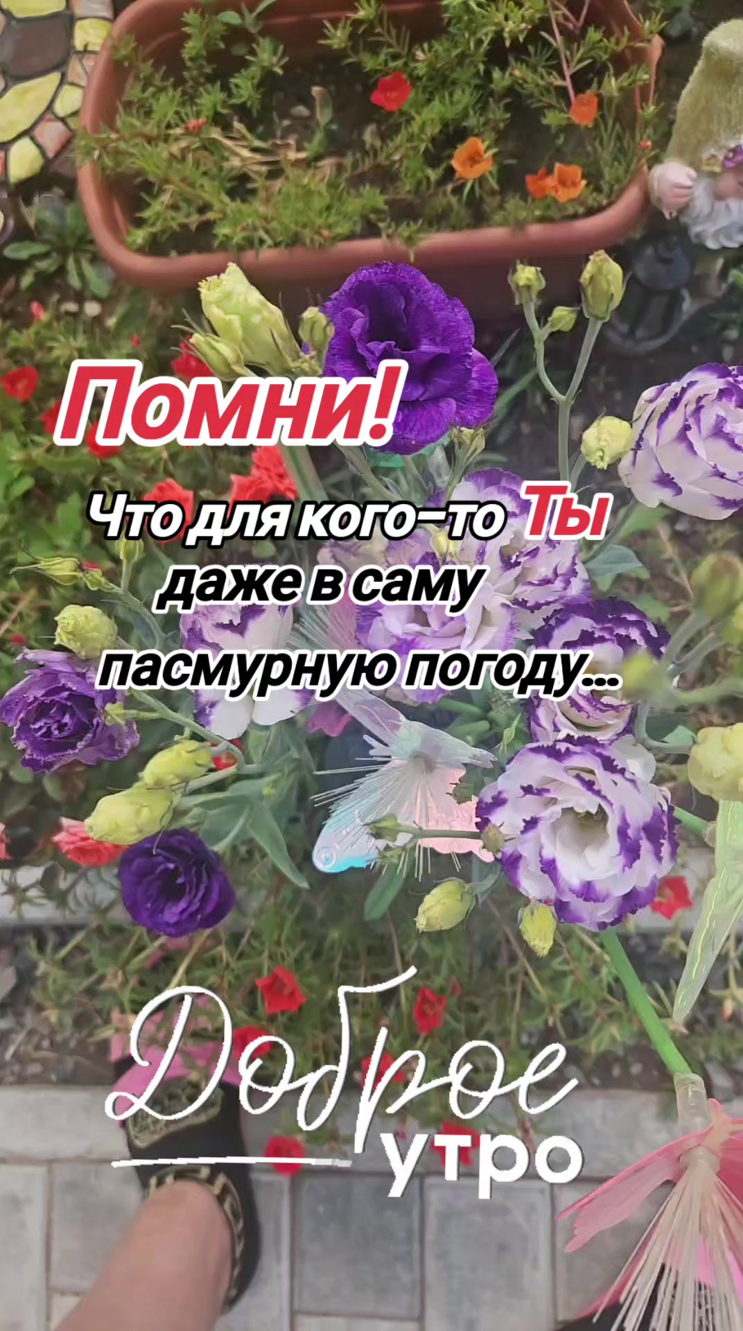 @✨Anastasia ✨