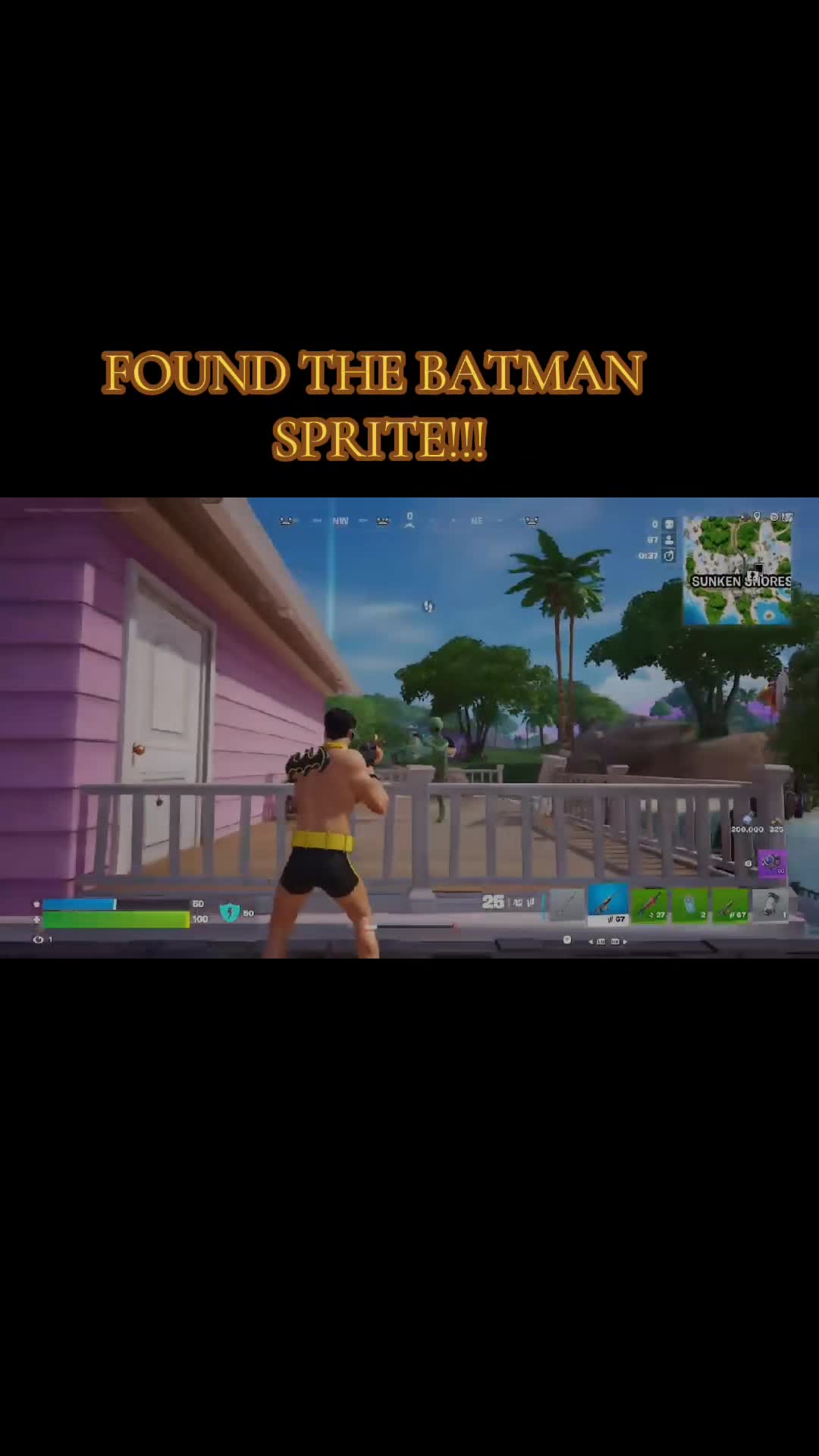 @TheBatFaNo27