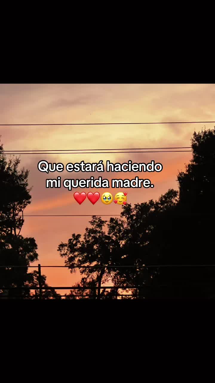 @Flory G 🌺