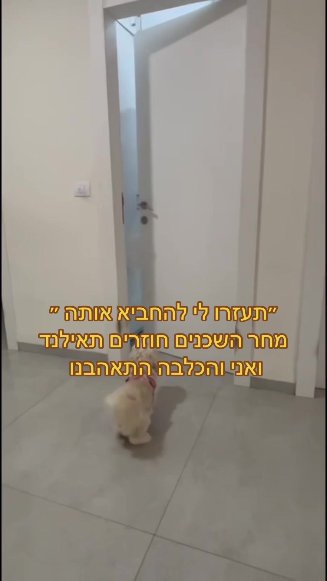 @המורה לשל"ח - הרצאות חינוך