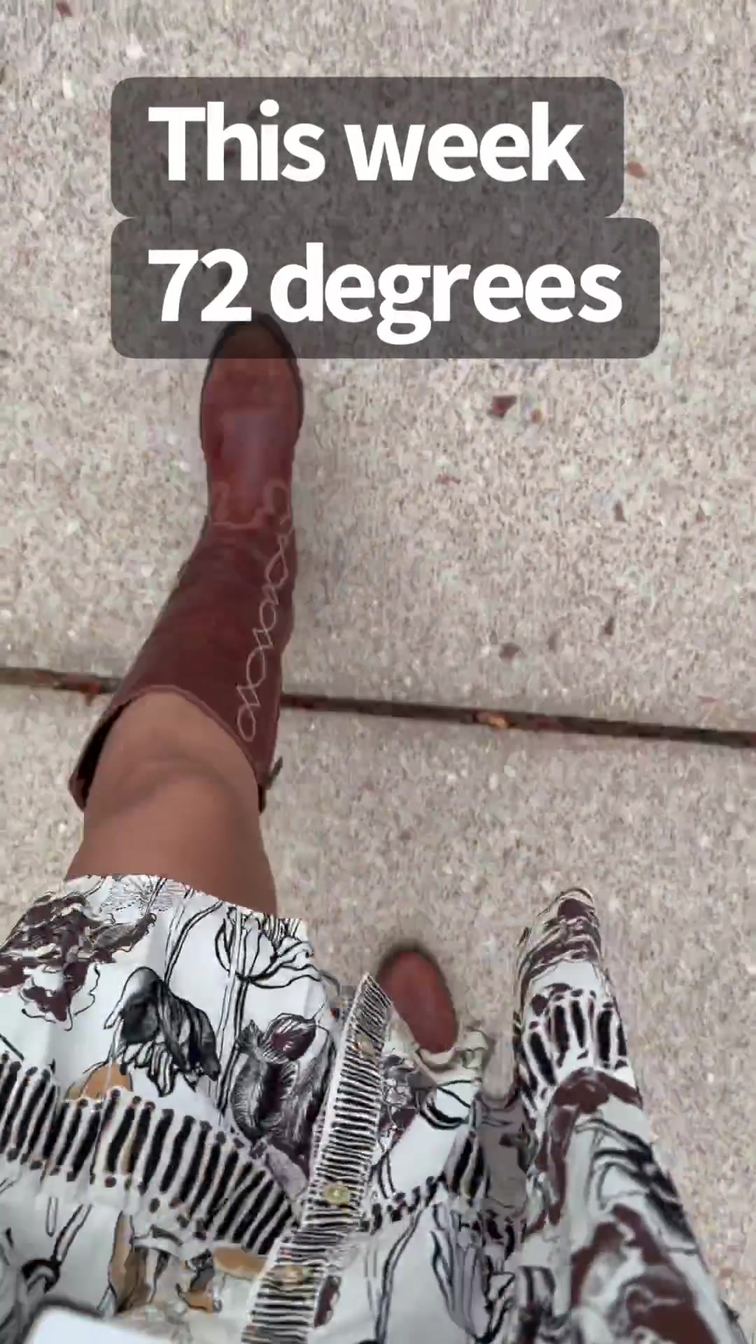 @thereneerochelle