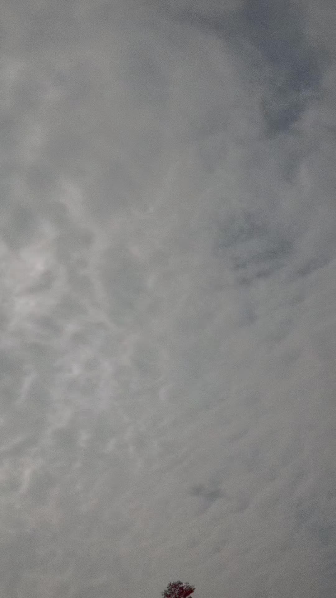 @đ˛đ˛ááááşá¸áááşá¸ááŹá¸đ˛đžLwin Minđ¤