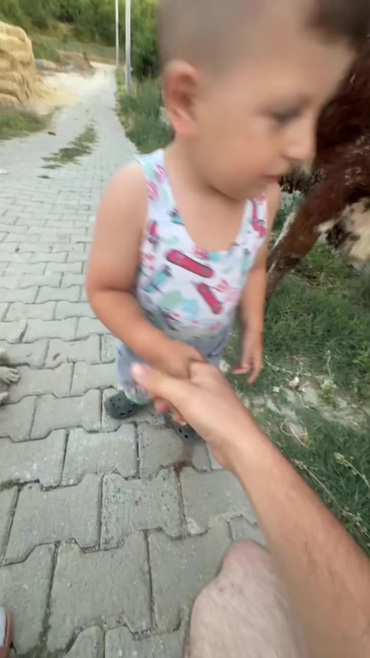 @Galip Ertuğrul