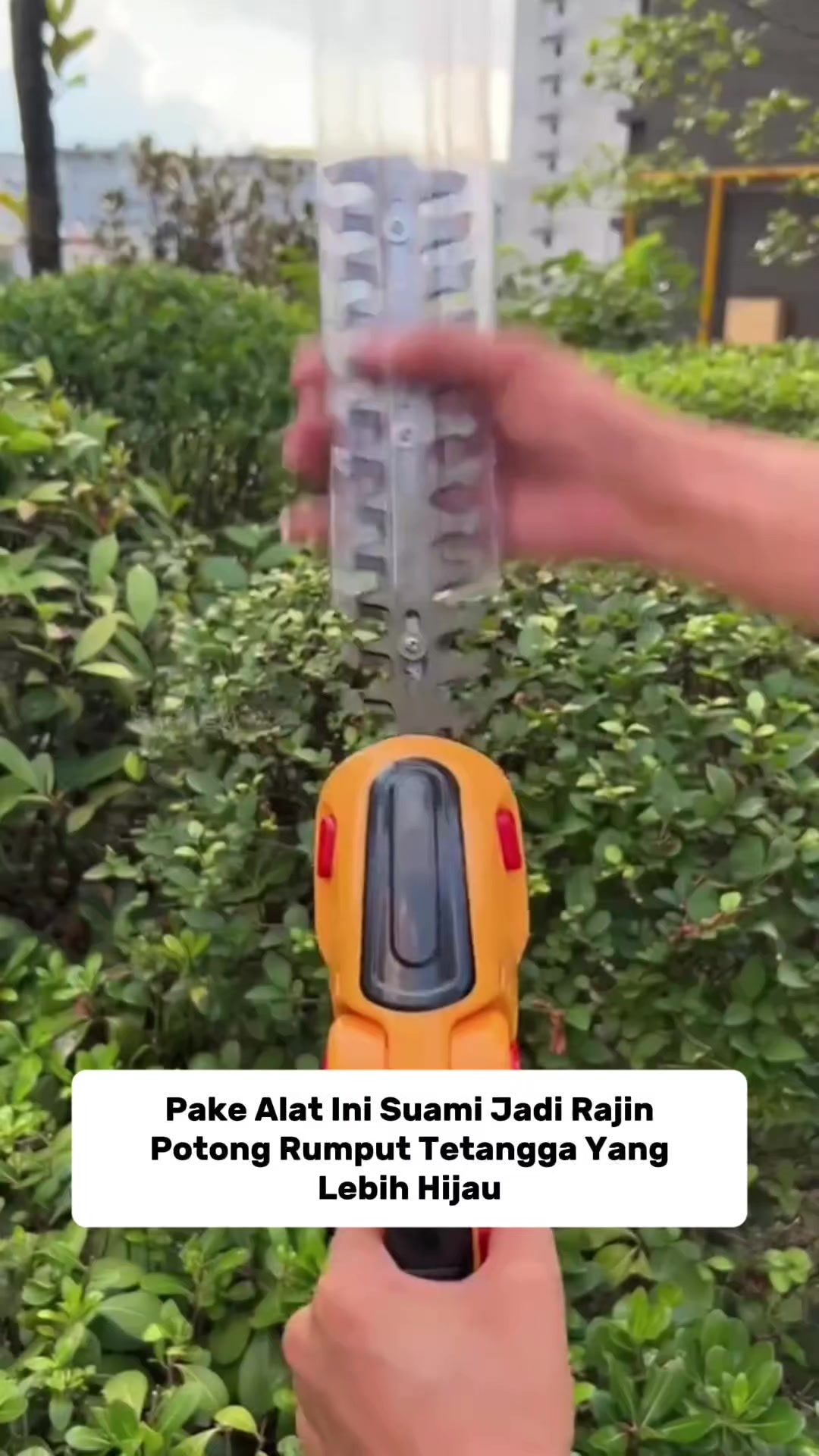 @Inspirasiperabotanunik