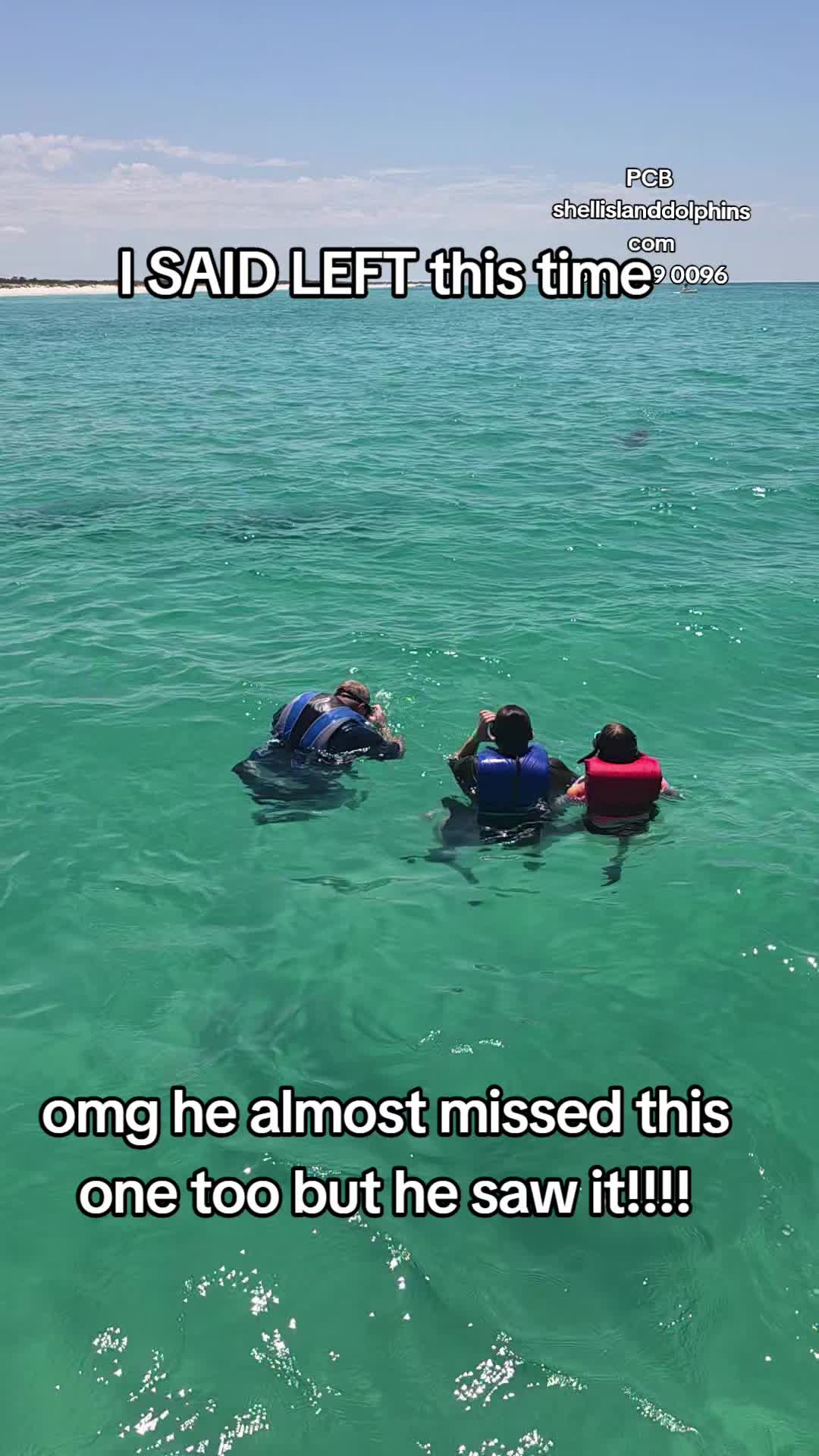 @Shell Island Dolphin Tours 🐬