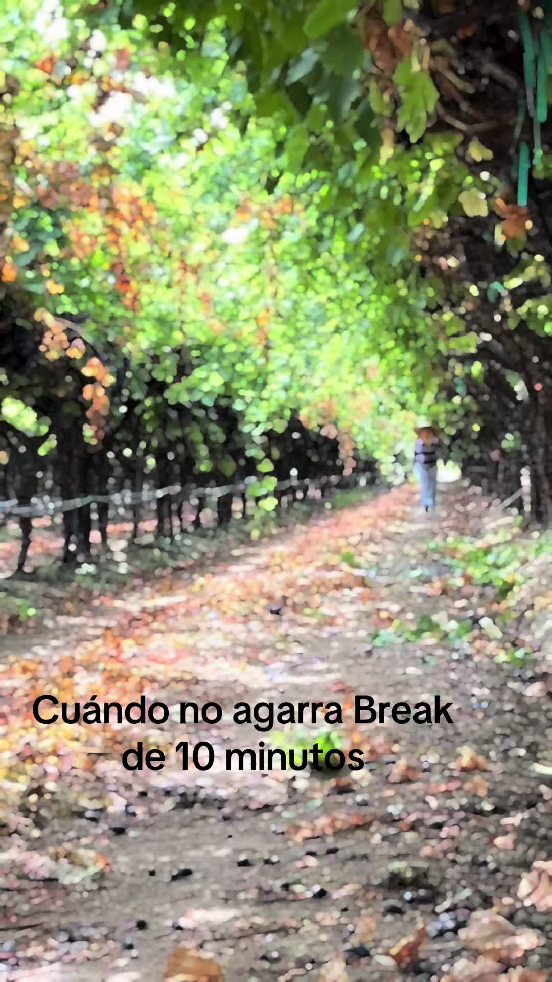 @santiago francisco