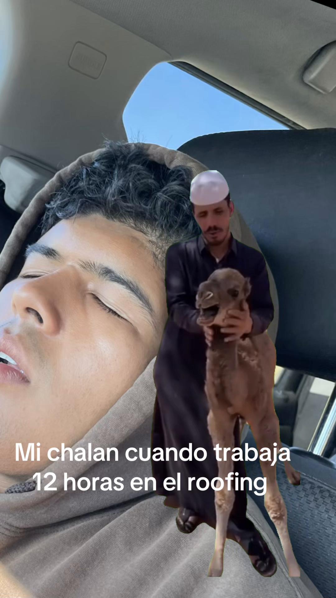 @Daniel 776