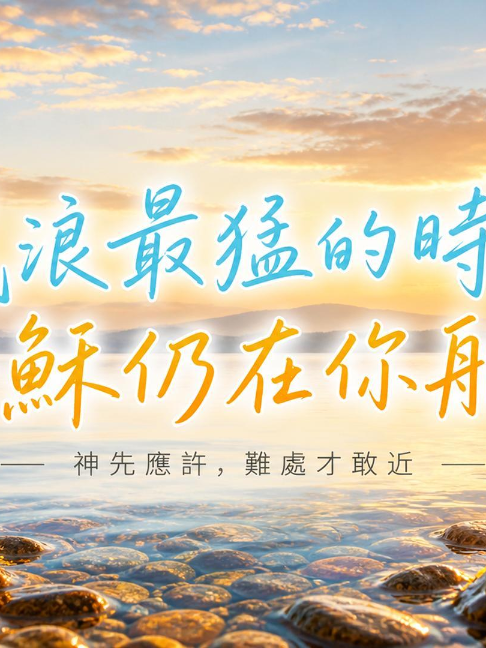 @LFC活力生命
