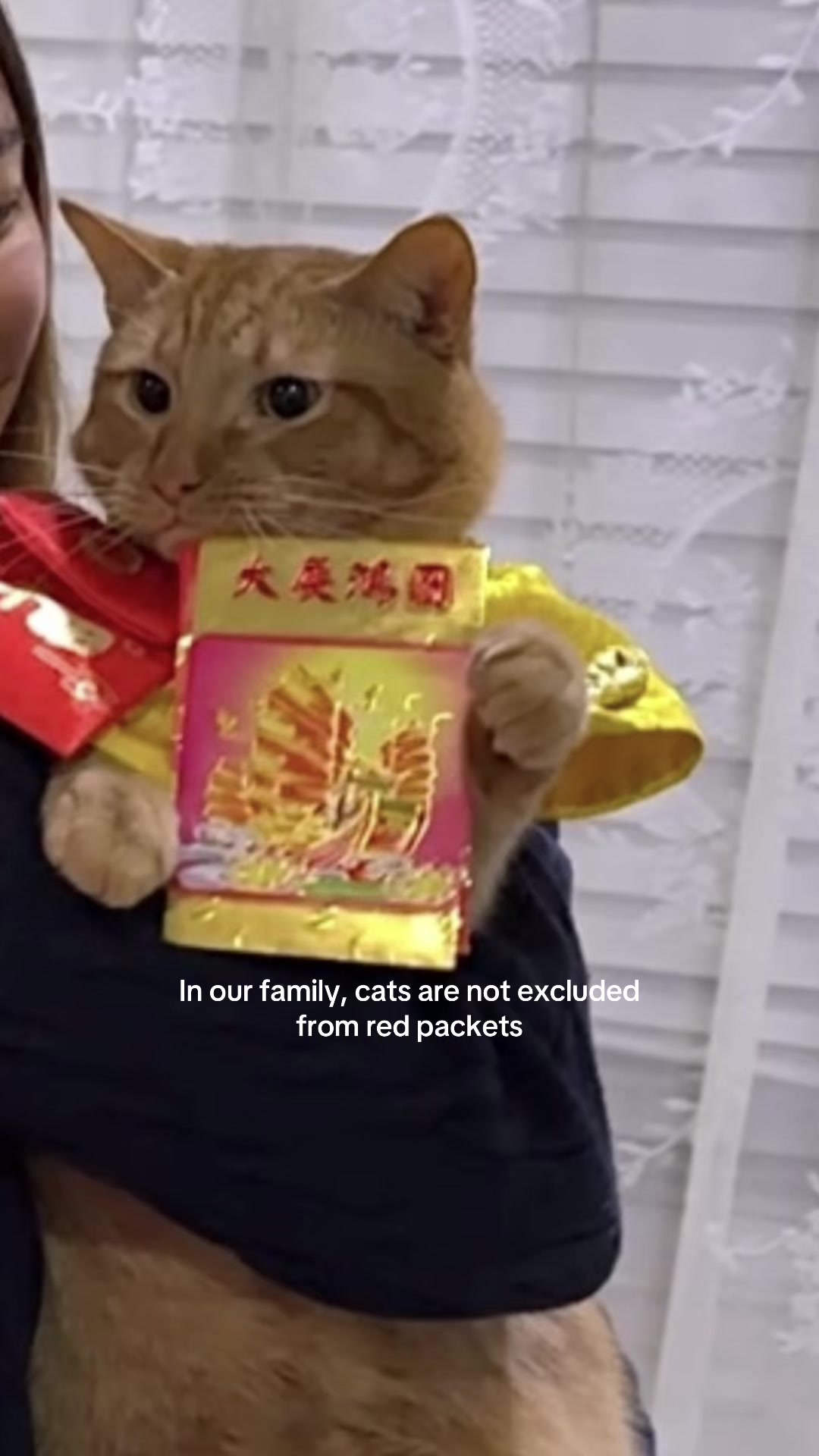@Sherry 🗺️🐈