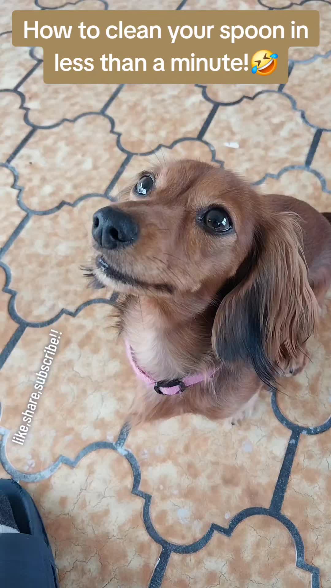 @filmguy13z