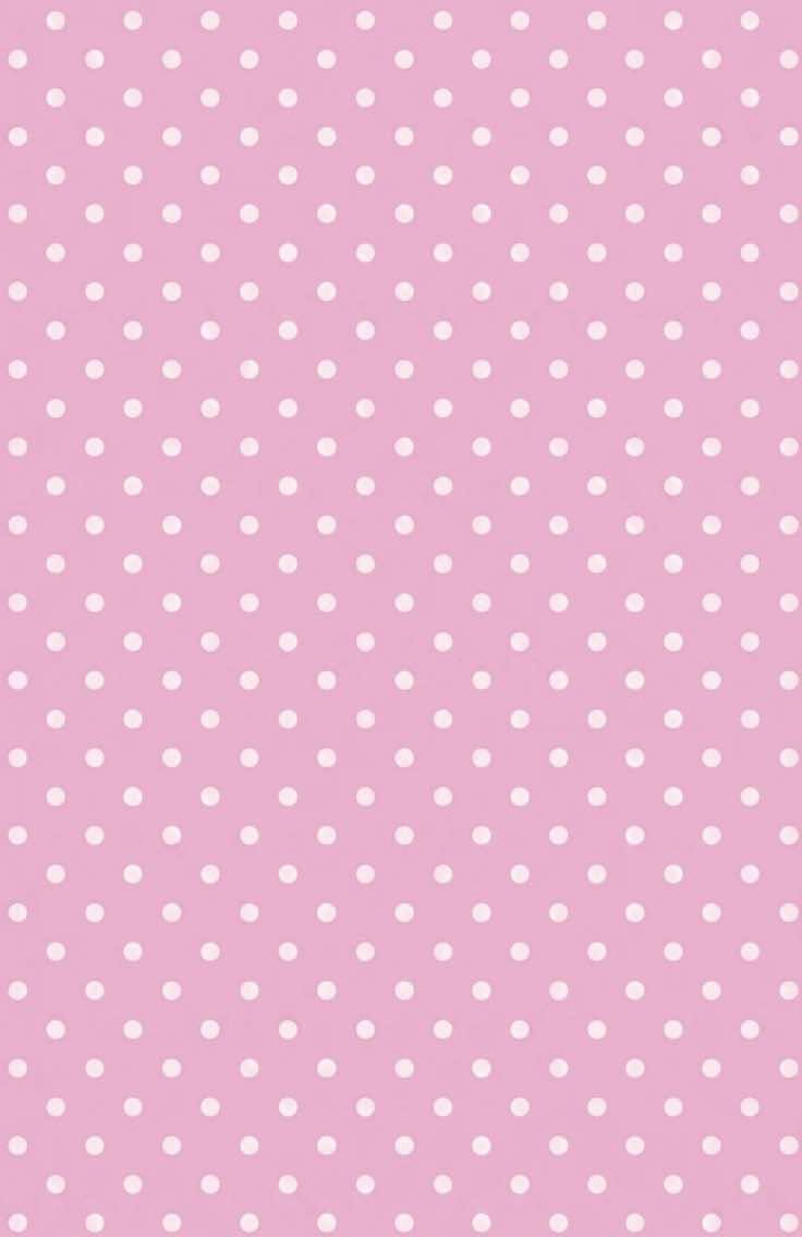 @‧˚꒰🐾୭ ˚. ᵎᵎ