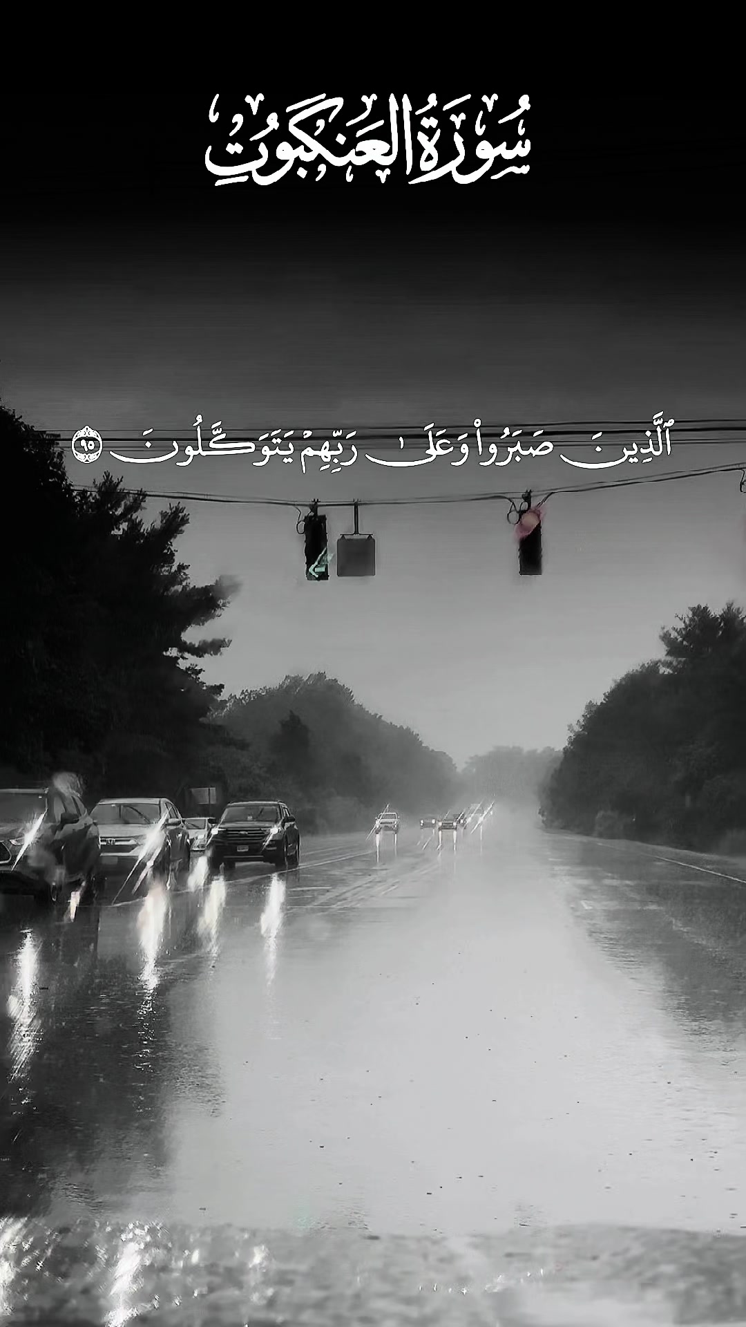 @💦🫧🖤فيفا 🖤🫧💦
