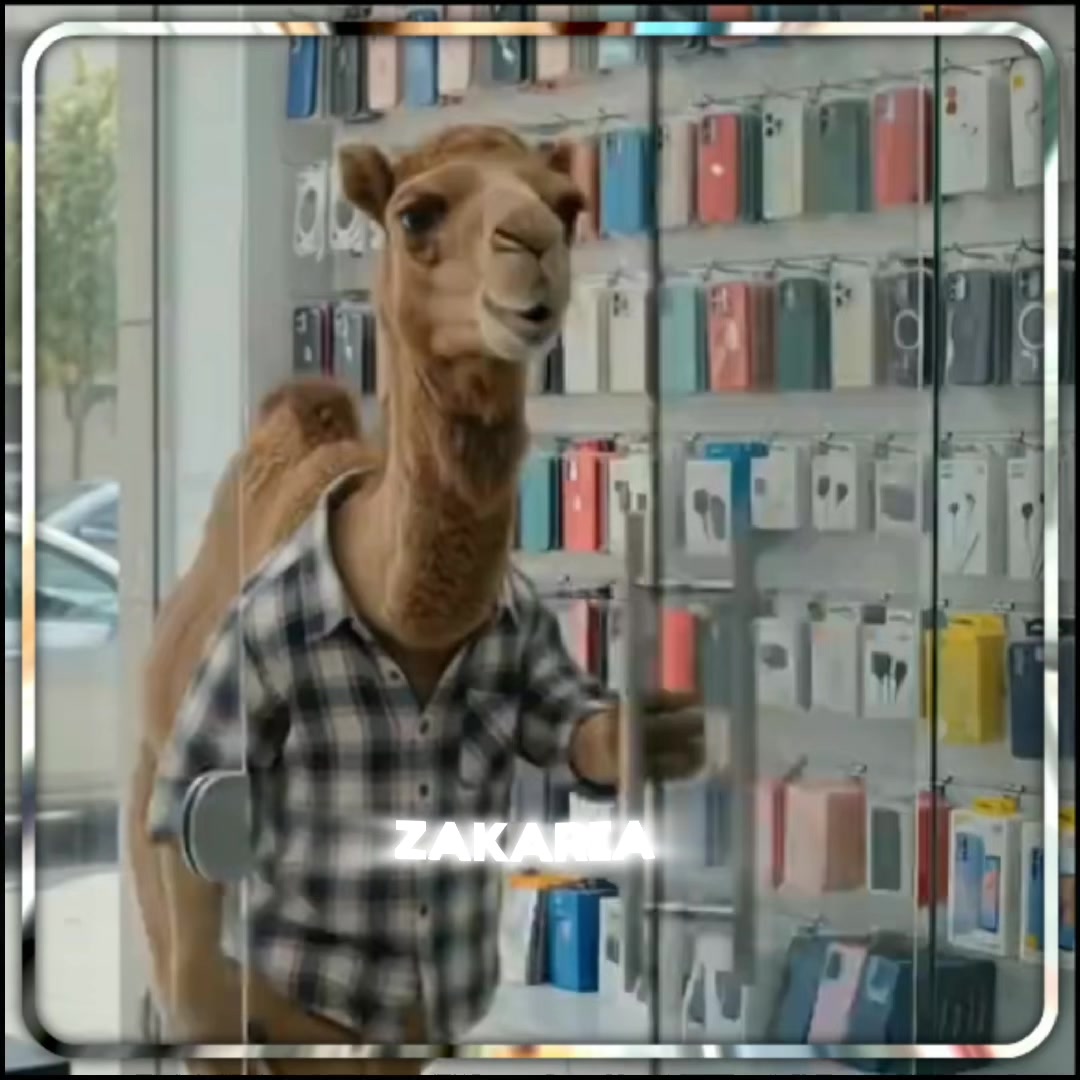 @âªððððð ðððð§ðïžâ