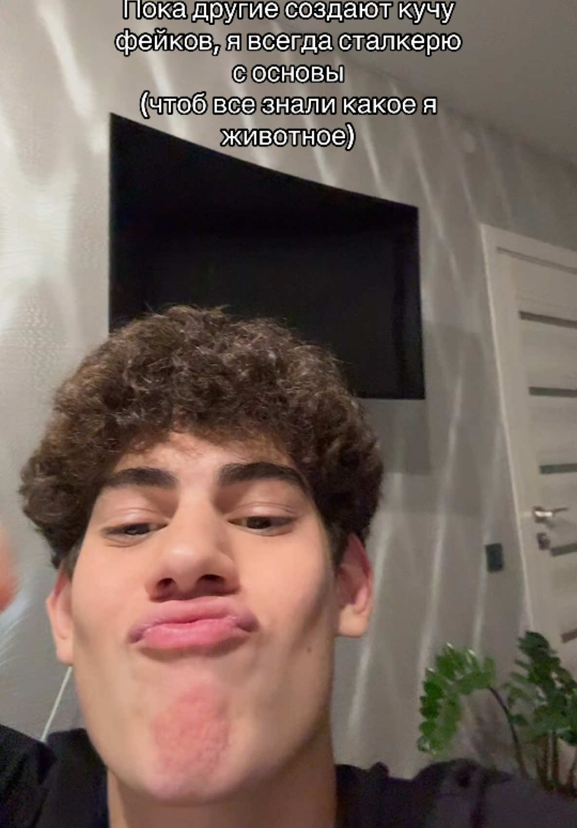 @STEPNOY