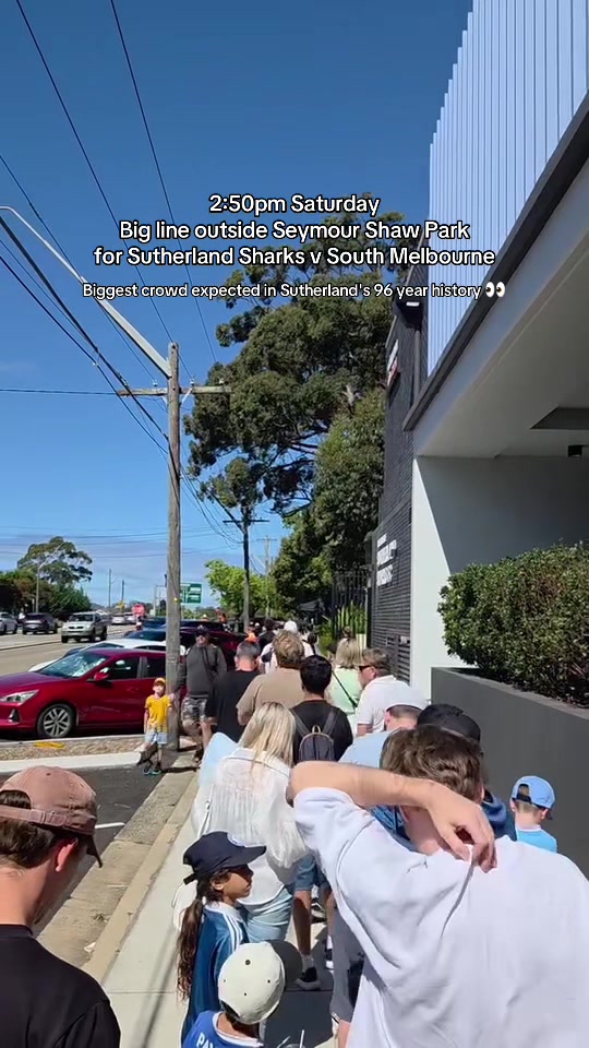 @Bondi Lines