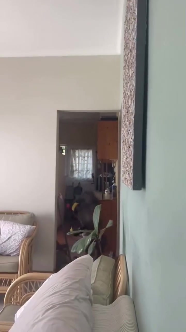 @Ömeriniz.k