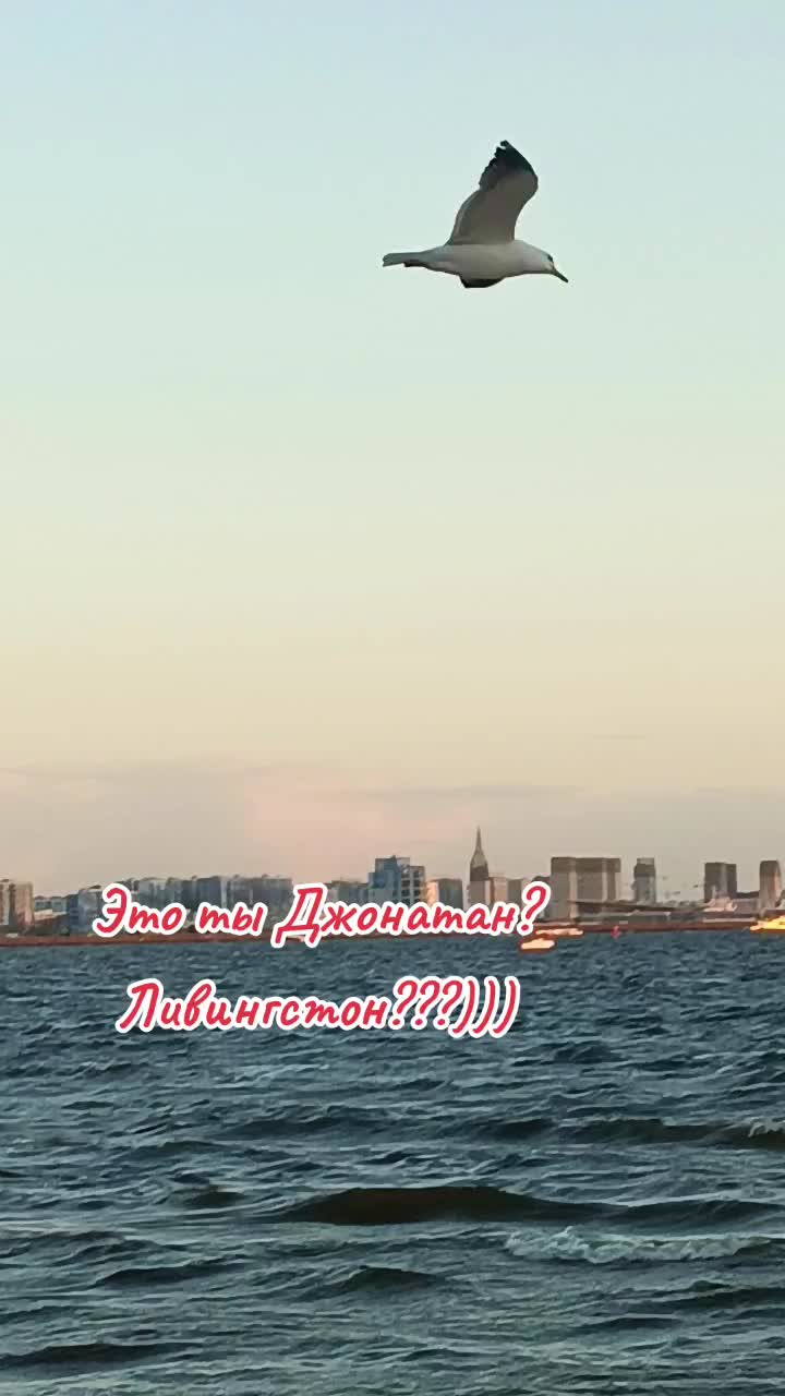 @user2278096979685
