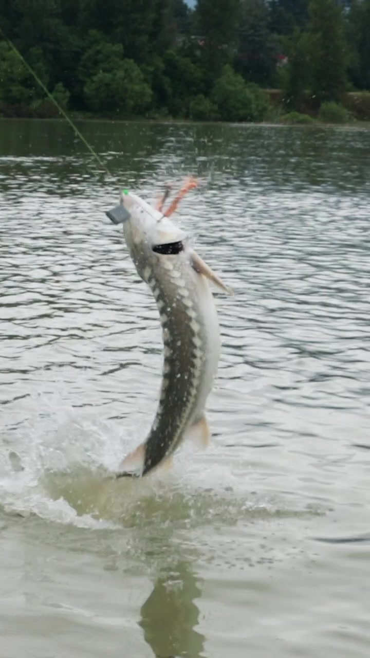 @Fishing with Rod