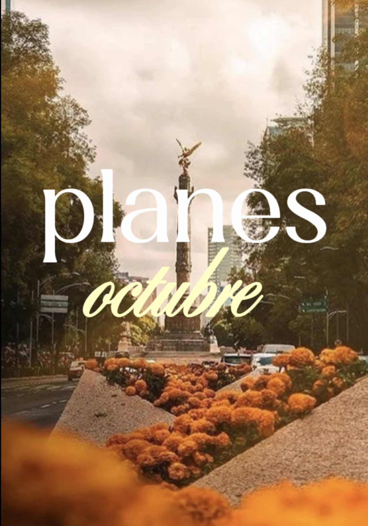 @Charlie Recomienda