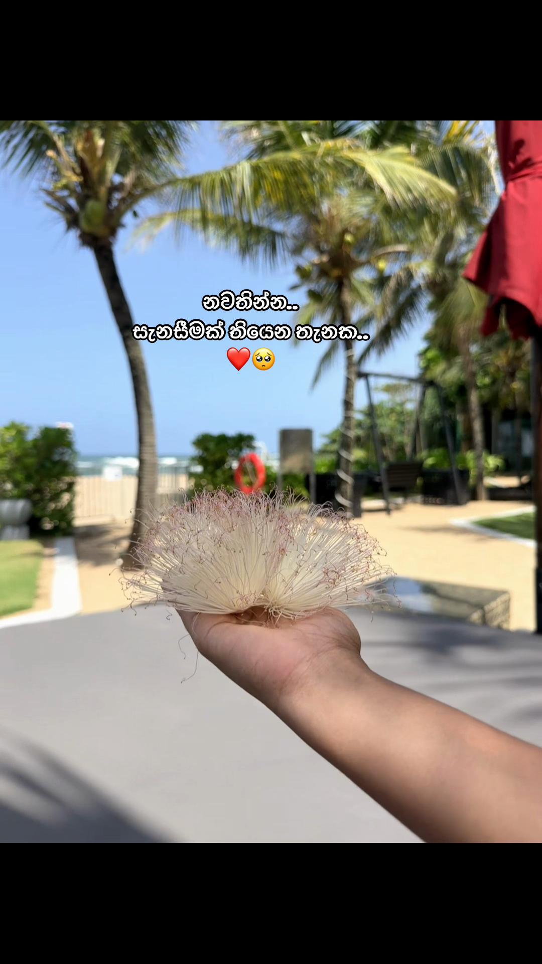@charu___wijewardhana