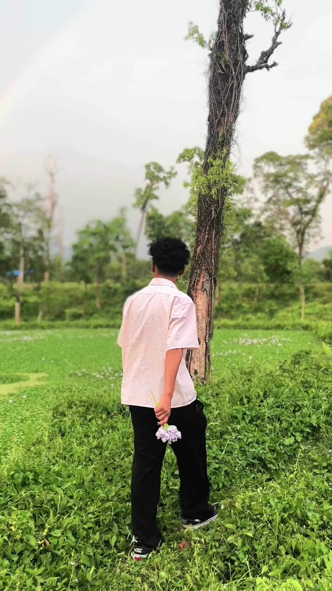 @𝐋𝐀𝐏𝐇𝐀_𝐁𝐑𝐎🎶