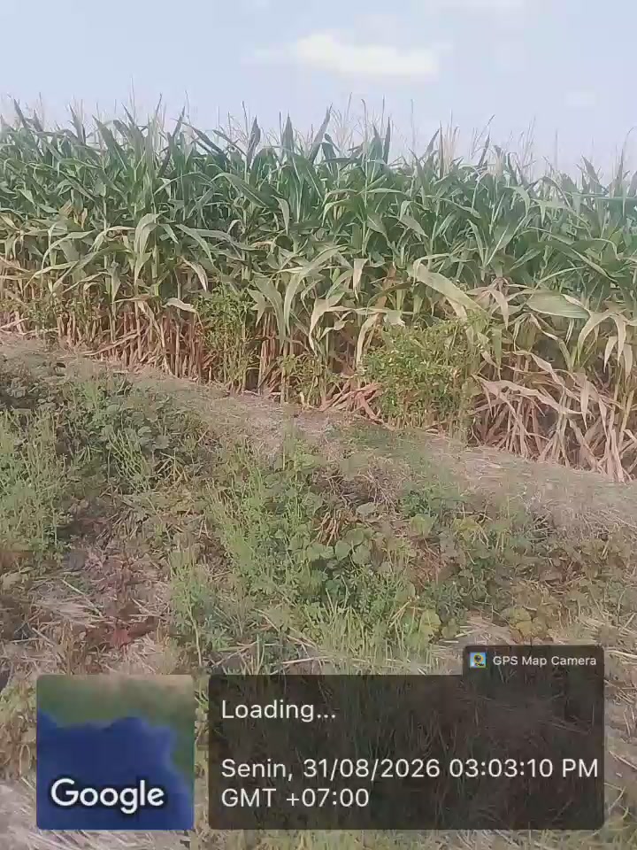 @andiklok 024