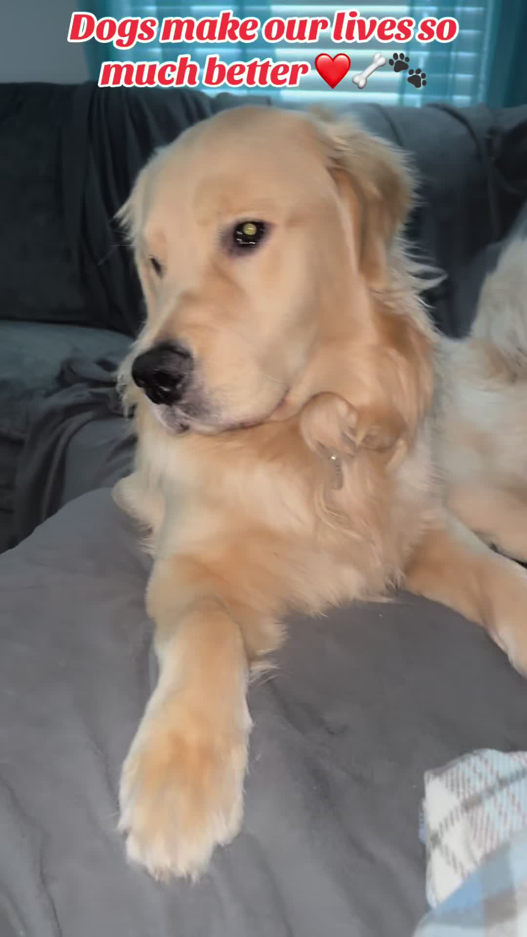 @Tucker_tha_Golden