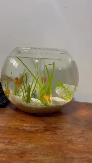 @fishtanks4u_