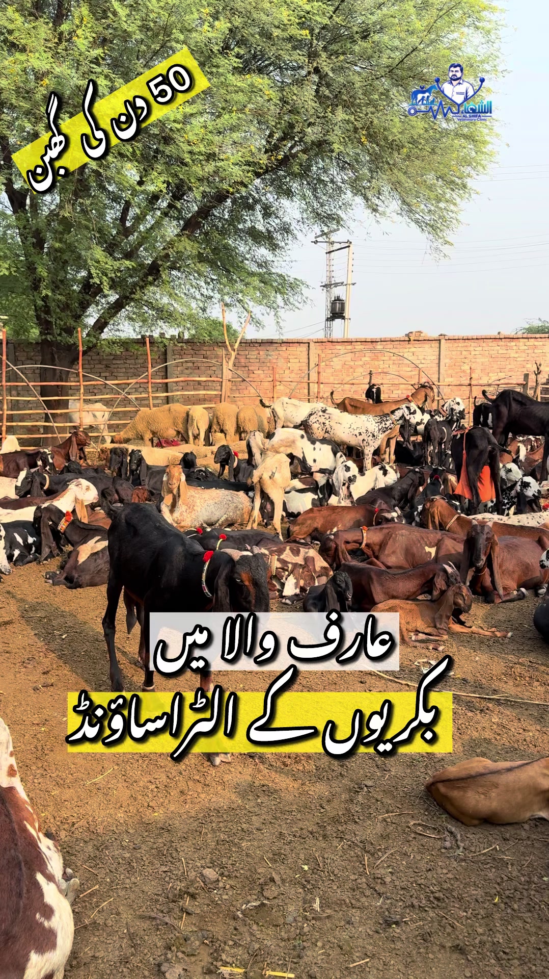 @Dr.Mohsin