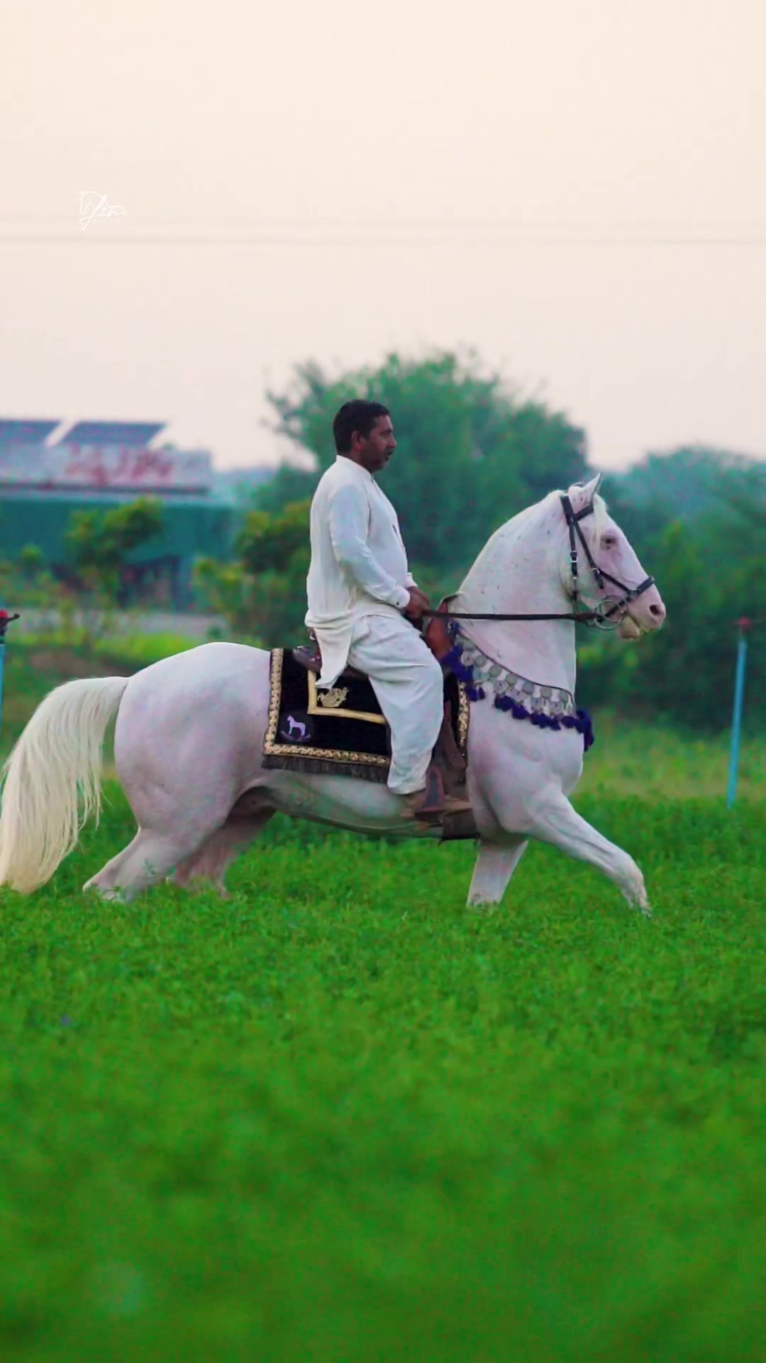 @SUNRISE STUD FARMS RAWALPINDI