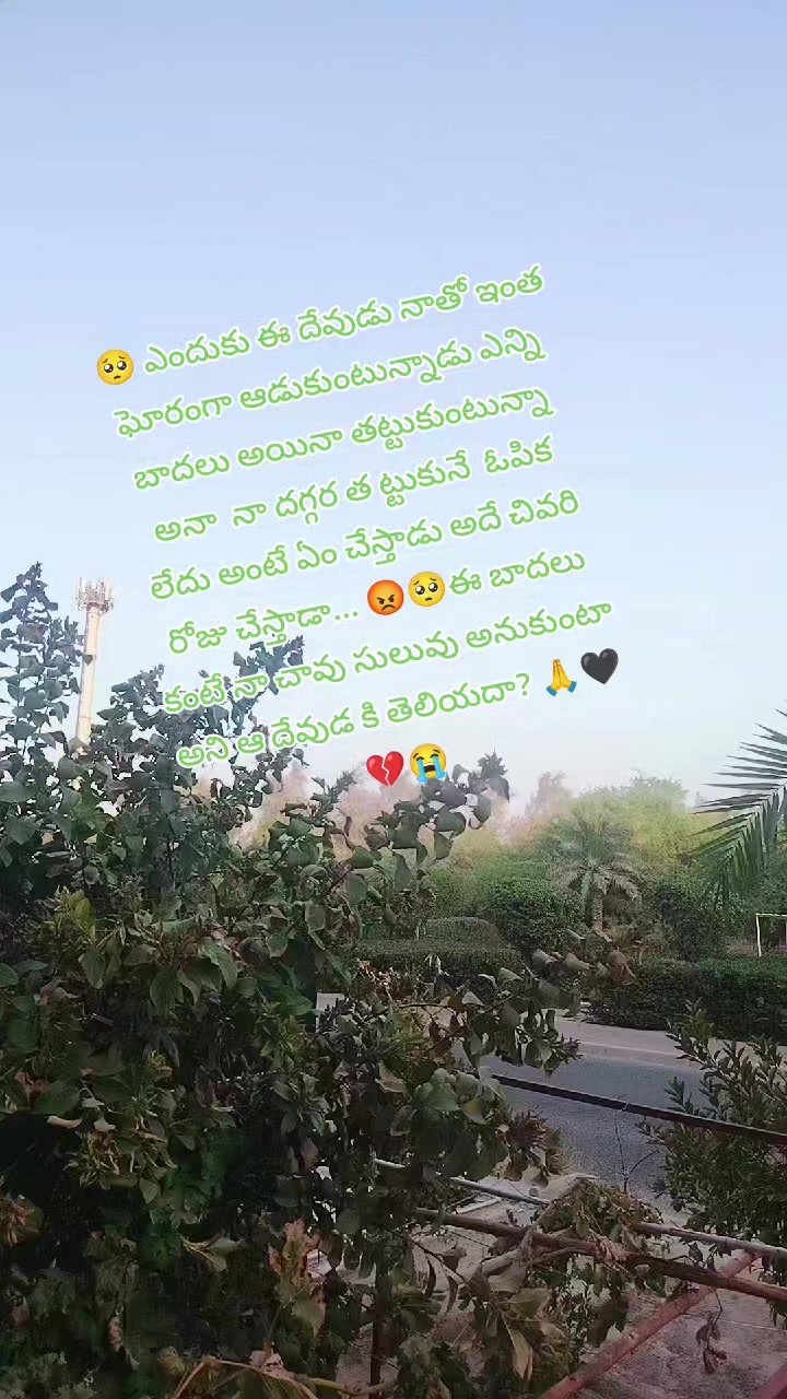 @😎యానాం🍻రాక్షసి🔥 MLA💝🌈🤗