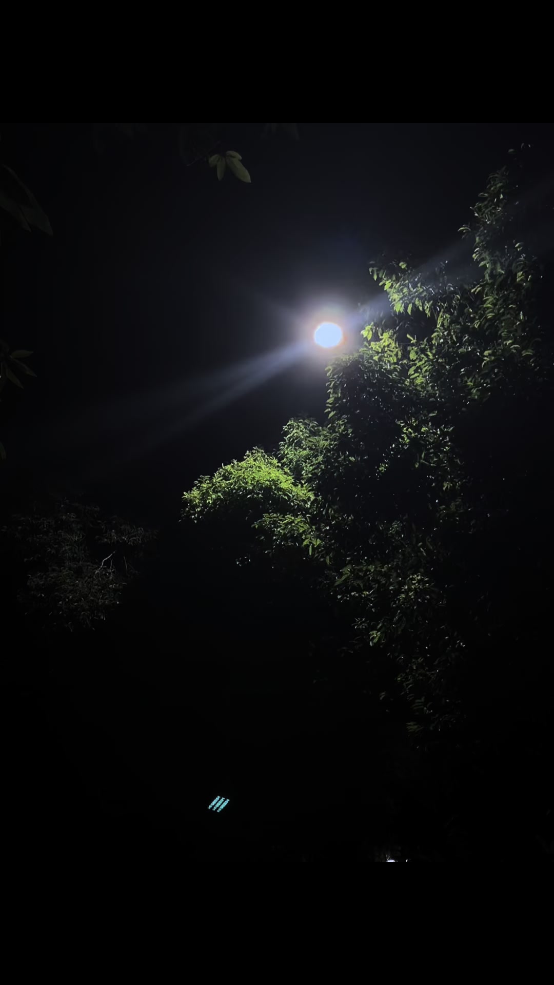@𝗚𝗿𝗶𝗺𝗼𝗶𝗿𝗲
