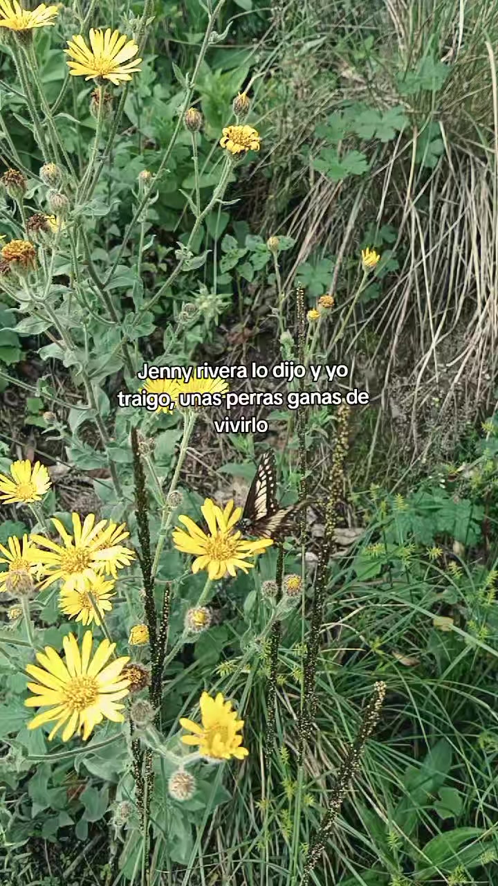 @𝓜𝓸𝓷.♡