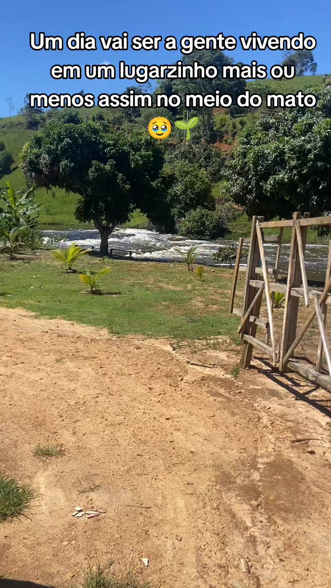 @Roça 🤠🌱