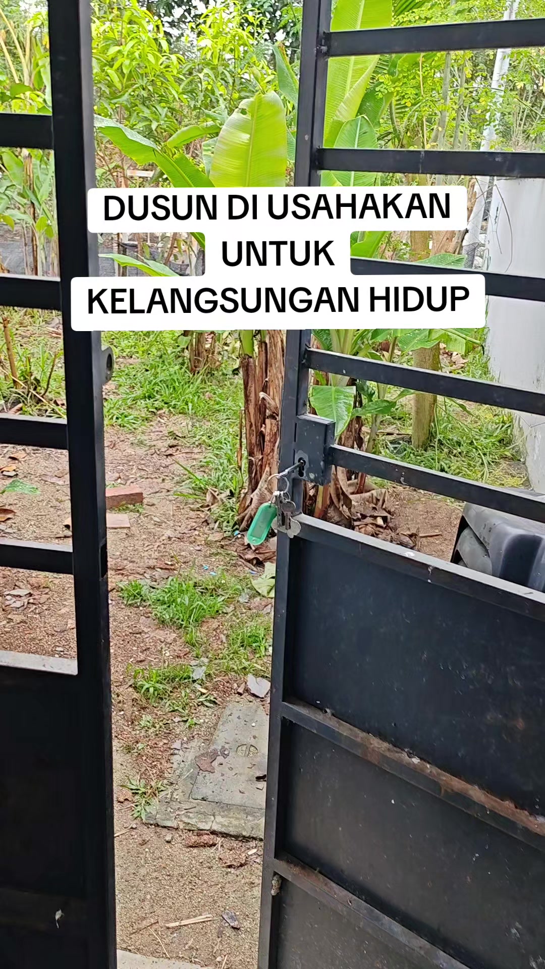 @anwar