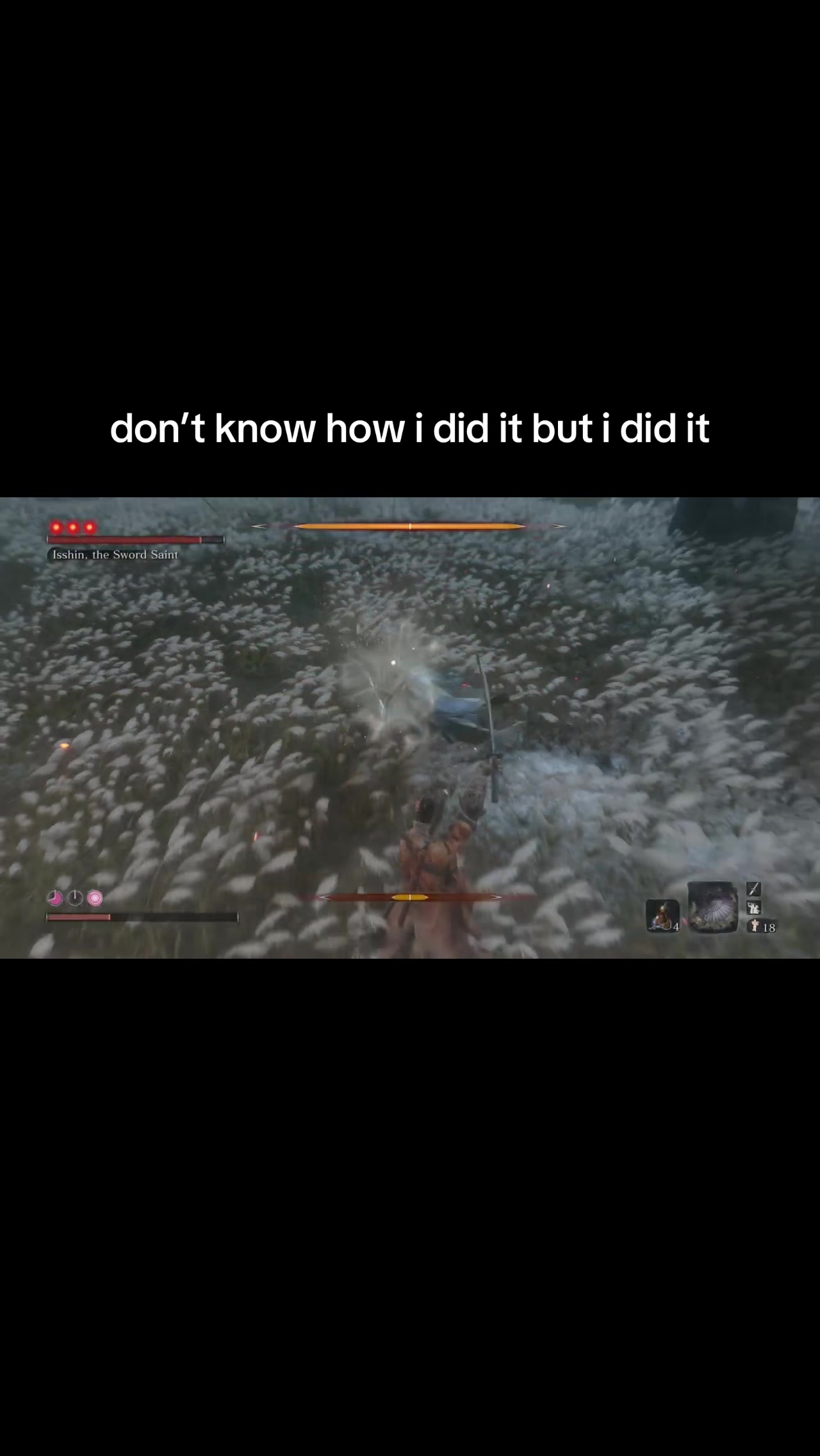 @borkbonk