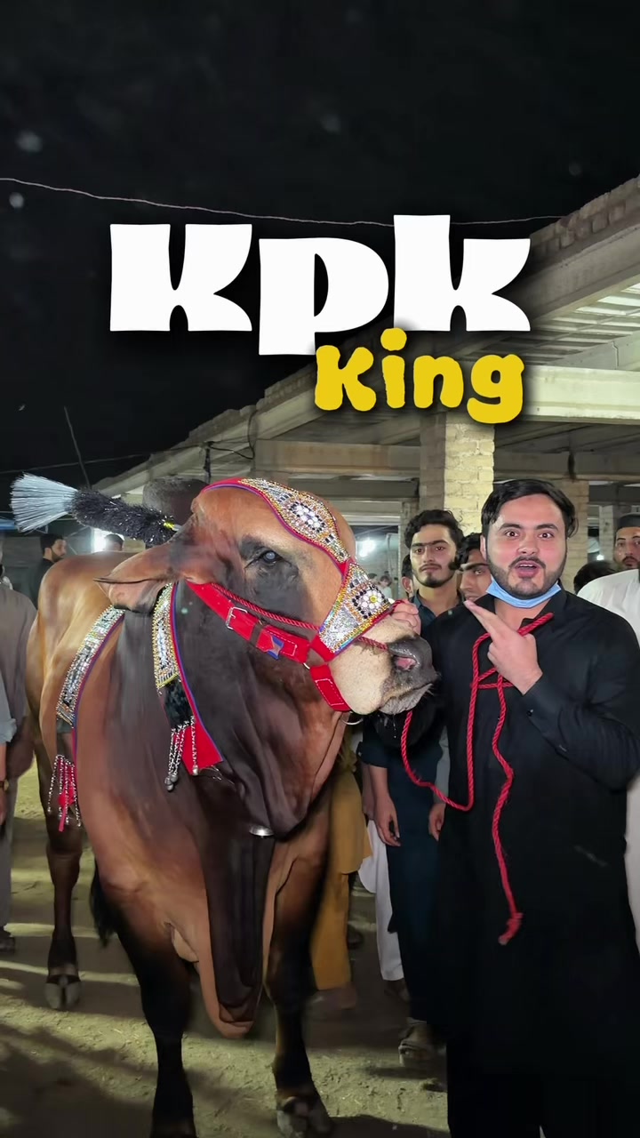 @Shahzad Khalil