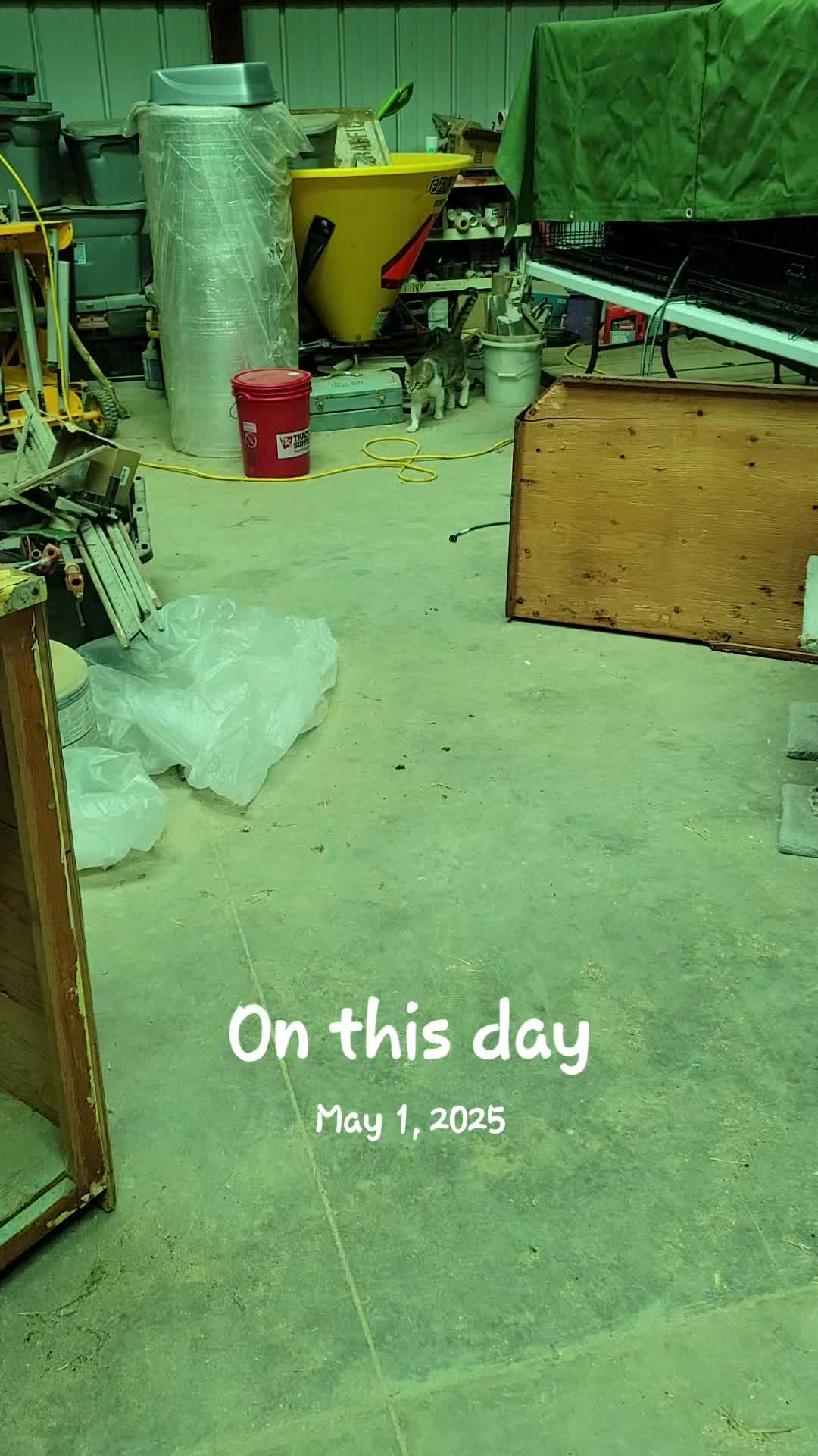 @Flint_❌ARRR Rescue Ranch